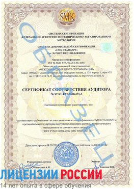Образец сертификата соответствия аудитора №ST.RU.EXP.00006191-3 Каменск-Шахтинский Сертификат ISO 50001